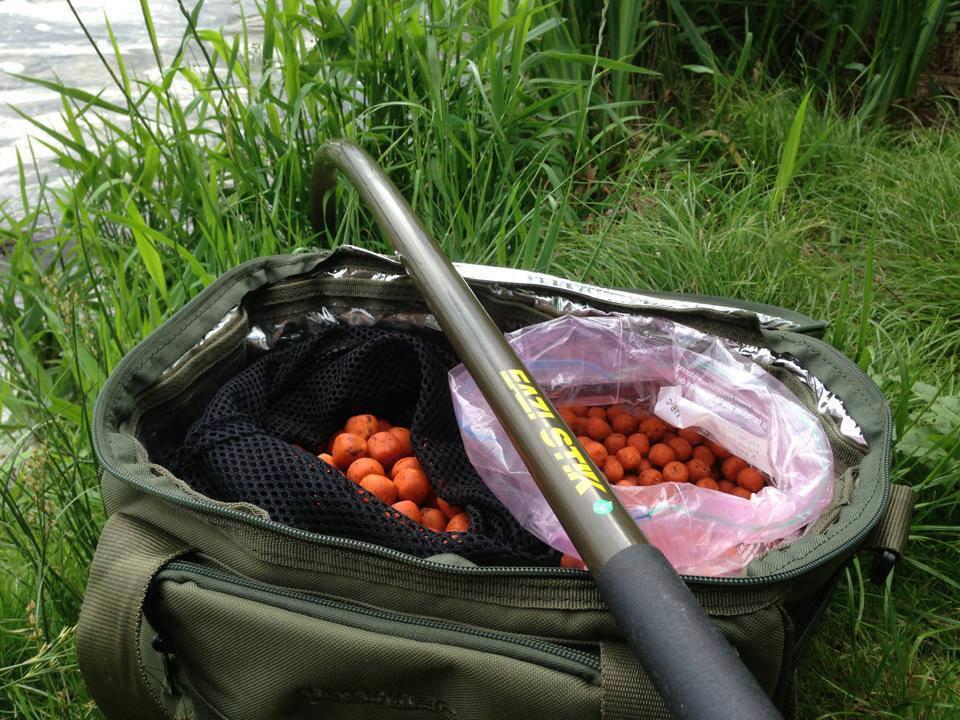 ::::::::- LIKE -:::::: - 10106425459111587779901587896220n.jpg